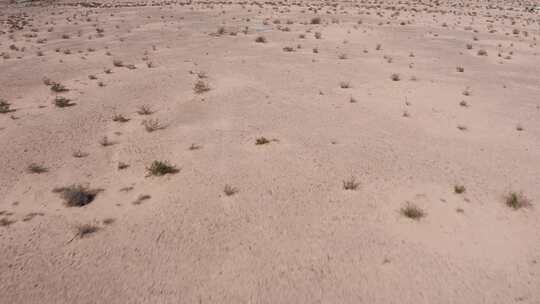 低空拍摄飞越稀疏的沙漠高清在线视频素材下载