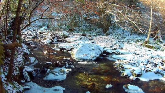 大雪过后森林里的小溪