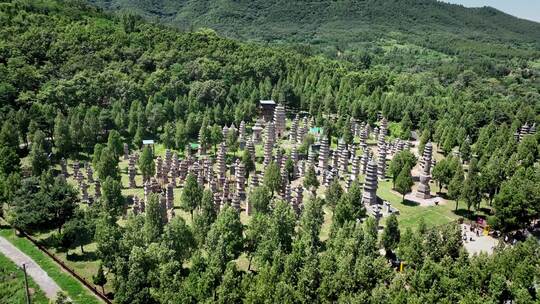 航拍河南登封嵩山少林寺塔林视频素材模板下载