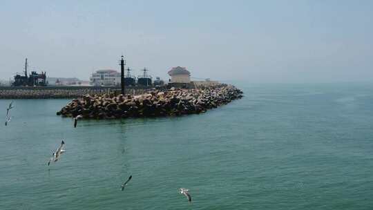 蓝色海洋大海海鸥岛屿浪花实拍