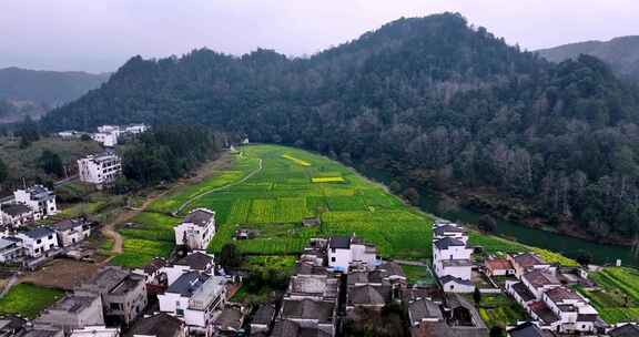 江西婺源思溪延村油菜花航拍