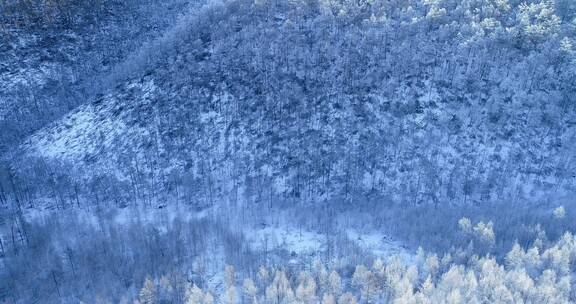 航拍大兴安岭林海雪原树林雾凇