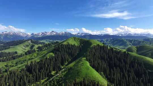 新疆恰西唯美震撼森林雪山航拍13