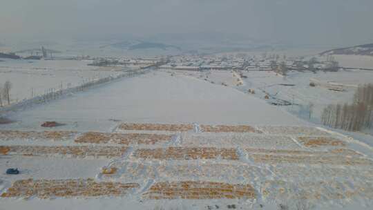 大雪覆盖的村庄