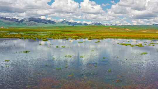 阿坝若尔盖花湖湿地