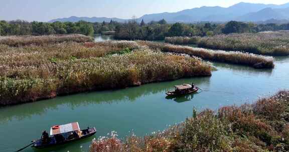 杭州西溪湿地秋意浓航拍