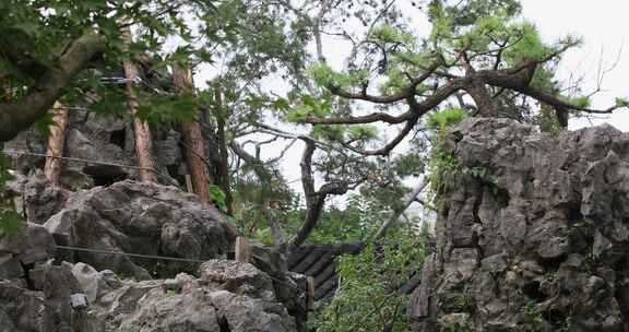 典雅叠石 太湖石造园景观 苏州环秀山庄