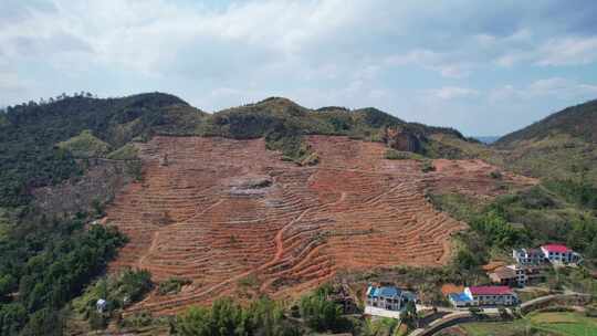 季造林翻耕的高山土地垄