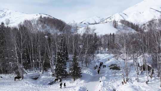 航拍新疆禾木雪景森林雪地小木屋禾木桥雪山