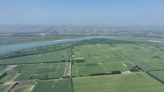 黄河边绿色农田