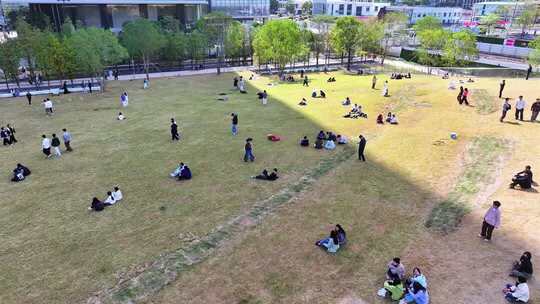 广州琶洲绿坡草坪休闲景观