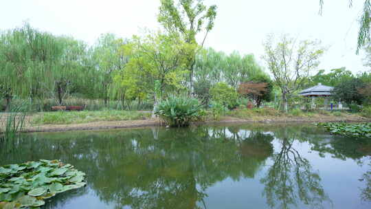 武汉光谷三路湿地公园风景