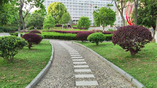 疫情街道街头小区绿色植物街头实拍