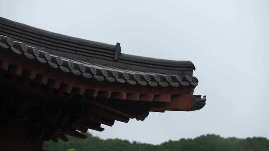 雨天屋檐下雨雨水惊蛰禅意古风清明大暑