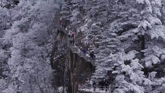 安徽黄山雪景视频素材模板下载