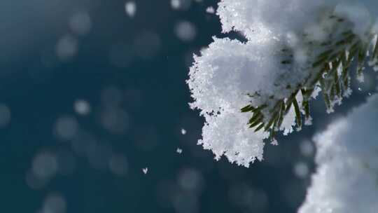 东北唯美下雪雪花浪漫阳光下雪花雪景视频素材模板下载