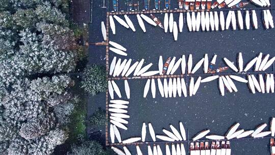 杭州西湖雪景 杨公堤隐秀桥视频素材模板下载