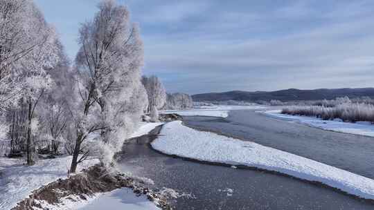 雪柳冰雪世界雾凇241104 (7)