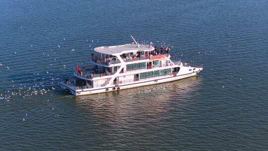 航拍滇池游船与海鸥