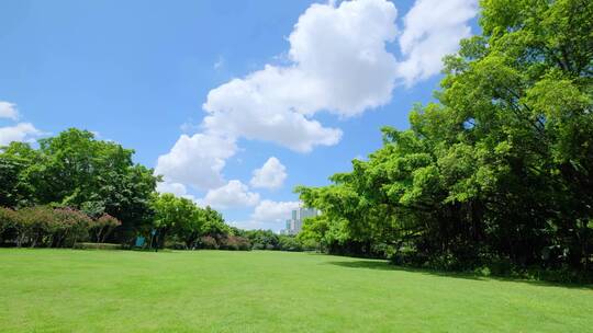夏天蓝天白云阳光草坪草地绿地树林森林公园