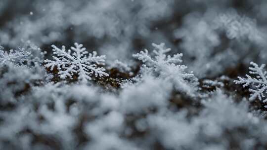 雪景冰晶雪花特写空镜头