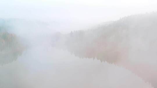 雾气缭绕的森林河流