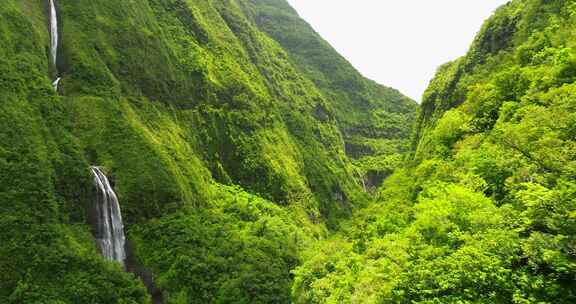 留尼汪岛，瀑布，森林，山脉