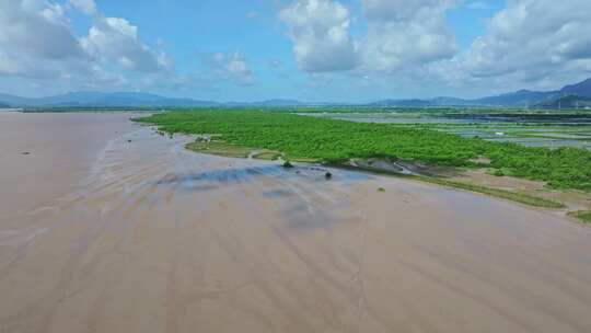 4k广东江门滨海新区银湖湾湿地红树林航拍