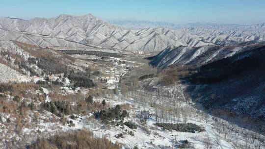 （航拍）森林雪景