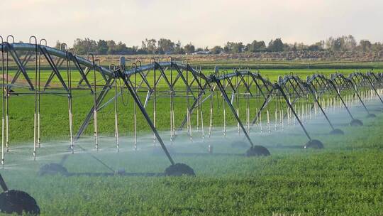 洒水系统浇灌加州农田视频素材模板下载
