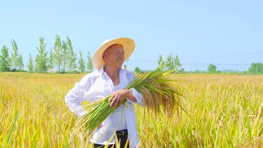 农田合集