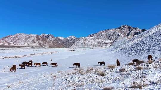 内蒙古阿拉善贺兰山雪景 雪山