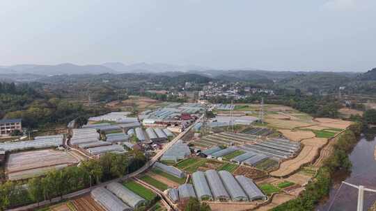 新农村发展农业种植大棚航拍