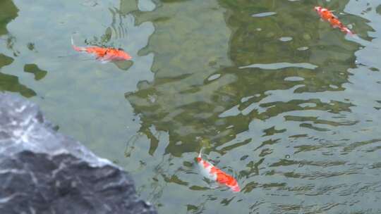 中国风地产建筑风格高山流水植物