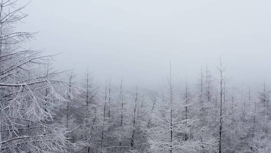 冬季唯美雪景