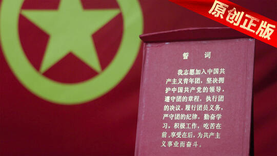 4K中国共产主义青年团 共青团胸徽党政党建