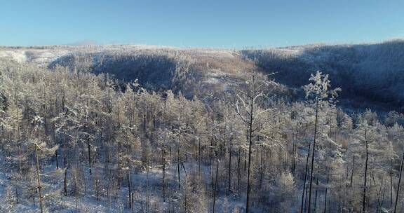 大兴安岭冬天岭上雪景雾凇