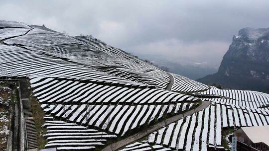 大自然寒潮冬天下雪的村庄田野航拍风景