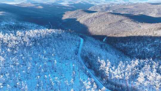 航拍大兴安岭黎明林海雪原视频素材模板下载