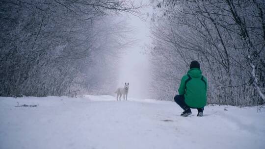 冬日路景中的人和狗