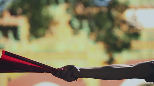 僧人在寺庙里练武 扇子特写