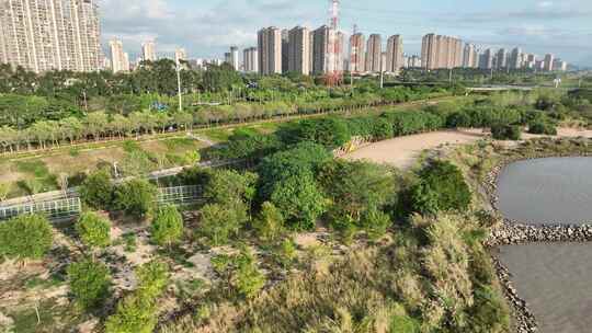 航拍福建福州乌龙江湿地公园自然风光