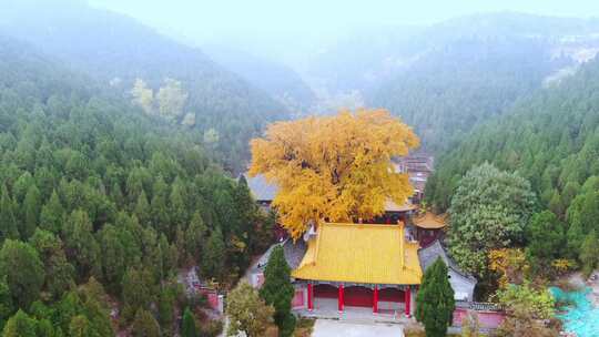 山东济南淌豆寺秋天航拍寺庙