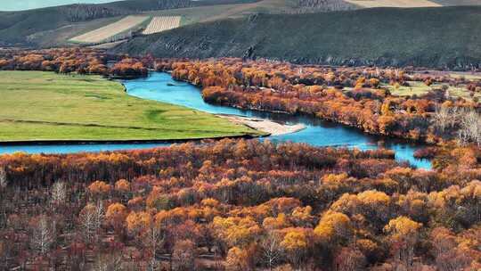 秋季河流森林自然风光