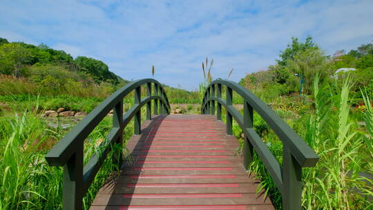湿地公园小桥