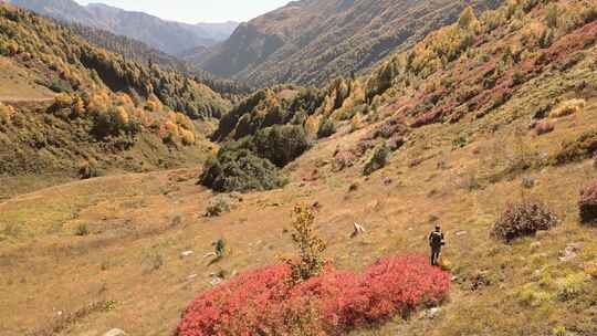 徒步旅行者独自徒步旅行在高加索山脉，佐治