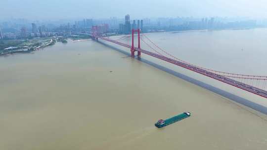 湖北武汉长江江边航拍风景高楼大厦鹦鹉长江视频素材模板下载