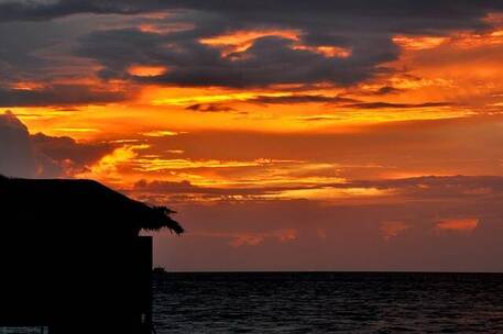 梦与现实的交汇 爱情 梦 现实 交汇