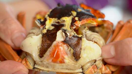 传统美食清蒸大闸蟹螃蟹慢动作