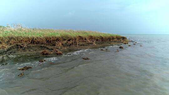 航拍长江沿岸九段沙湿地边滩水土冲刷